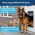 PetSafe Extreme Weather Aluminum Pet Dog Door with 3 Flaps Insualtion
