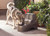 PetSafe Drinkwell ZWW00-17111 | Spacious 3.5-Gallon Pet Fountain for Large Dogs & Multi-Pet Homes | Free-Falling Stream | Dual Filtration System | Outdoor & Indoor Use | Encourages Hydration & Health