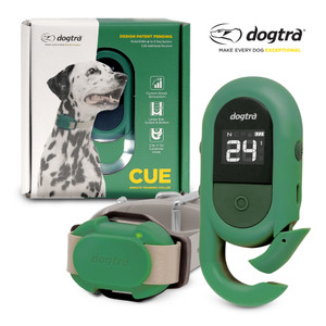 CUE Add on Yellow Ecollar with Safety Level Lock Boost Vibration Waterproof  Rechargeable for Small Medium Large Dogs Dog Training Collar by Dogtra 