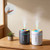 Essential Oil Aromatherapy Mist Diffuser & Humidifier