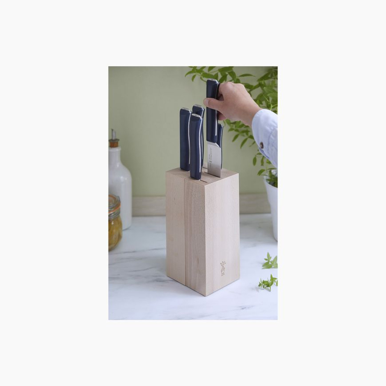 Opinel Intempora 5-Piece Knife Block Set