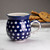 Polish Pottery 330ml Gents Mug - Blue Eyes