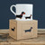 Sweet William Dachshund Mug