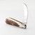Premier Collection Peach Pruning Knife with Stag Antler Scales