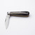 Premier Collection Clip Point Knife with Ox Horn Scales #2