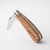 Premier Collection Clippoint Knife with Olivewood Scales #1