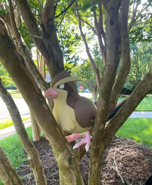 Life Size 1:1 Pidgey just 1 Anime Bust Statue | 3dCurioPrints 299.99 3dCurioPrints 3dcurioprints.com 441528853791_65EA