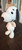 10" Snoppy from Peanuts