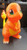 10" Charmander yellow tail 3dCurioPrints 3dcurioprints.com New 99.99 