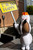 1ft Droopy Dog you have to glue sign in due to shipping 3dCurioPrints 3dcurioprints.com New 99.99 