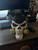 Absolute Batman Bane helmet fits heads up to 24" will have neon sides