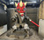 1ft Star Wars Darth Maul chibi bust