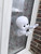 Casper through the window regular size 100%