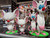 (2) pack 16" 1ft 4in Pinky + 1ft Brain
