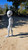 MASSIVE 5ft the Alien Observer you have to glue due to size 