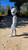 MASSIVE 5ft the Alien Observer you have to glue due to size 