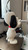 1ft 3in Snoopy Character Bust Figure 15 Inches Peanuts Cartoon Collectible
