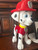 20" 1ft 8in Paw Patrol Marshall Custom