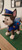 20" 1ft 8in Paw Patrol Chase Bust Statue
