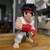 22-inch Ryu Street Fighter Bust Statue Figure for Display