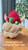 Bowser mask helmet with magnets 1 size standard size great prop fits heads up to 24"