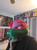 TMNT Raphael helmet mask rare fits heads up to 24" tail off you glue your end