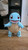 Full Size 1ft 7in Squirtle colored not painted Bust Figure Made to Order 299.99 3dCurioPrints 3dcurioprints.com 441531124614_BD4B