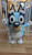 Large Bluey Dog Statue Bust – 2 Ft Tall Display