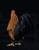 Life-Size Scrappy Bust Statue 1:1 Scale Collectible