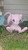 Life Size Full Size 1ft Mew Bust Statue | 3dCurioPrints tail will need glued on