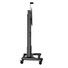 NB TW100 60"-100" Motorised Height Adjustable Mobile TV Trolley