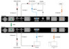 Binary B-660 Series 4K HDBaseT Extender with IR & RS-232 (100m)