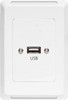 USB-A Wallplate With Flylead - Clipsal Pro