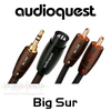 AudioQuest Big Sur 3.5mm/ RCA/ DIN Interconnect Cable