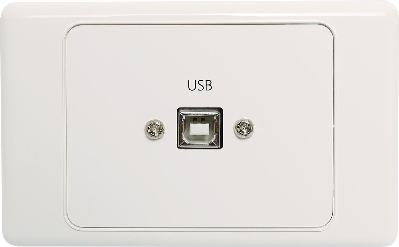 Dynalink USB-B Wallplate With USB-A Plug Flylead