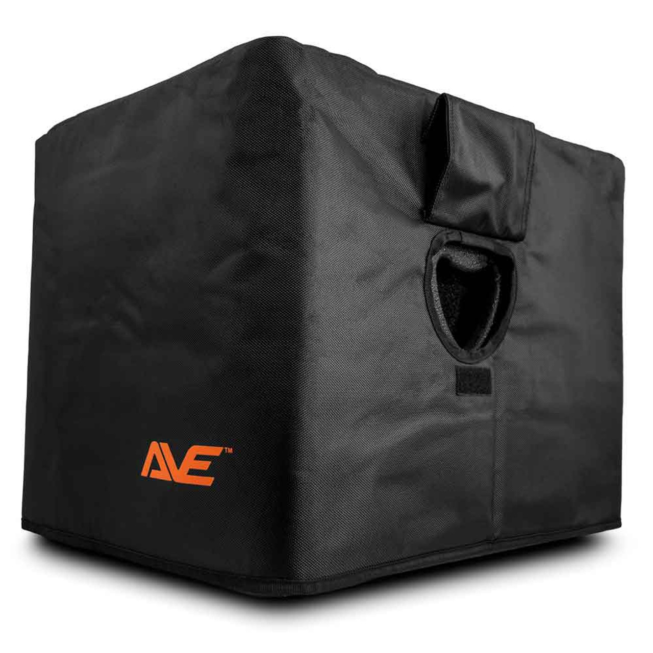 AVE BassBoy 12" 600W Powered Subwoofer