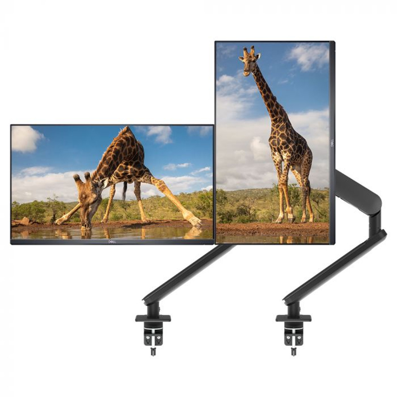 Atdec Ora Duo Curved or Flat Display Desk Mount (up to 35" / 8kg Max Each)