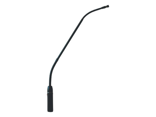 Australian Monitor AMSLIMG Electret Cardioid Gooseneck Microphone (3P XLR)