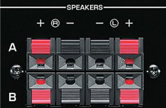 peaker Selector and Speaker Terminals 