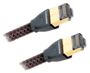 AudioQuest Ethernet Cinnamon