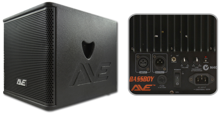 AVE BassBoy 12" 600W Powered Subwoofer