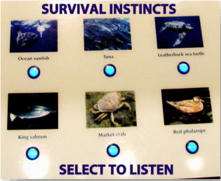 INTERACTIVE AUDIO EXHIBITS