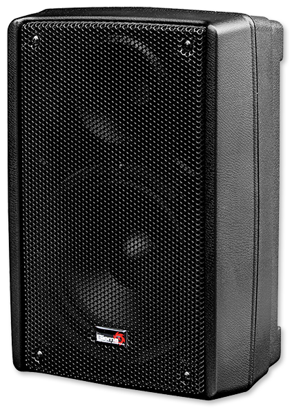 Biema 10" 300W High Power 2 Way PA Speaker