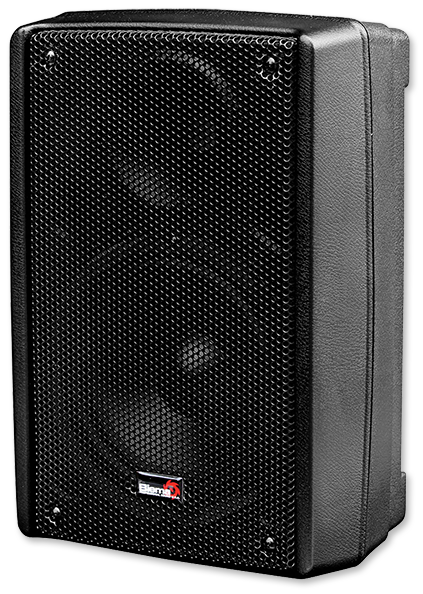 Biema 15" 450W High Power 2 Way PA Speaker