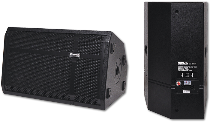 Biema Passive 10" 150W 2 Way High Power PA Bin Speakers