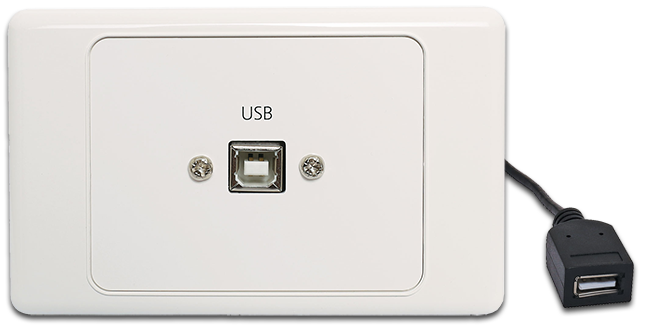 Dynalink USB-B Wallplate With USB-A Plug Flylead