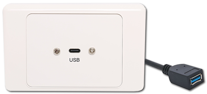 Dynalink USB-C Wallplate With Flyleads