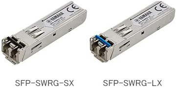 The "SFP-SWRG-SX" or "SFP-SWRG-LX" long-distance SFP modules