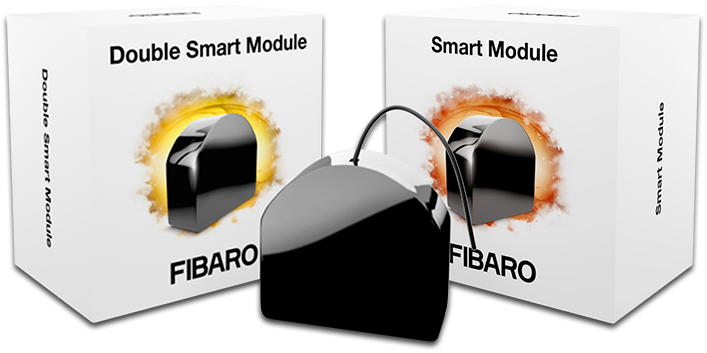 FIBARO - Double Relay Switch Z-Wave+ FGS-224 (FIBARO Double Smart