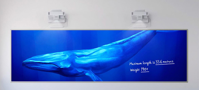 Flexible display options and sizes